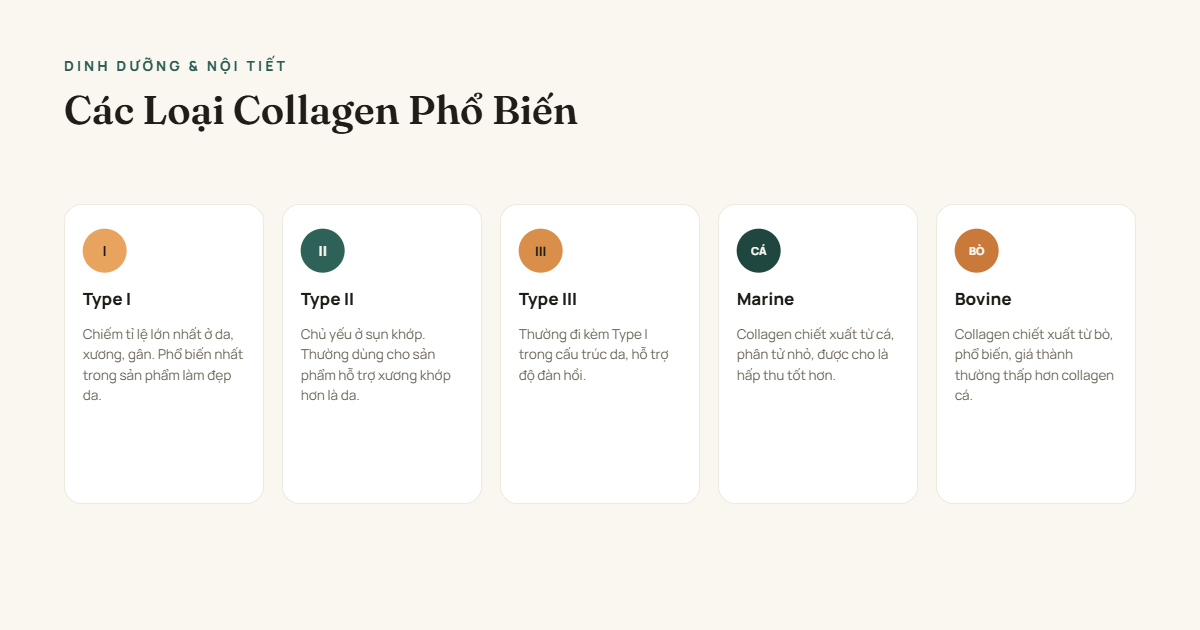 COLLAGEN: UỐNG CÓ THẬT SỰ GIÚP ĐẸP DA KHÔNG, UỐNG ĐÚNG CÁCH